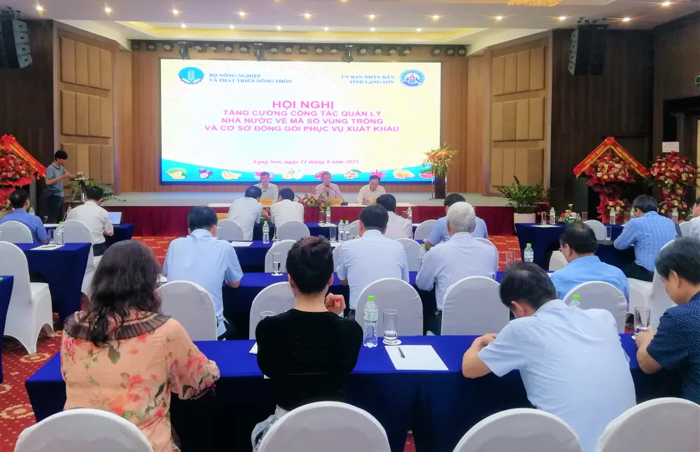 Hội nghị sáng 24-8 của Bộ NN-PTNT. Ảnh: MINH LONG Hội nghị sáng 24-8 của Bộ NN-PTNT. Ảnh: MINH LONG