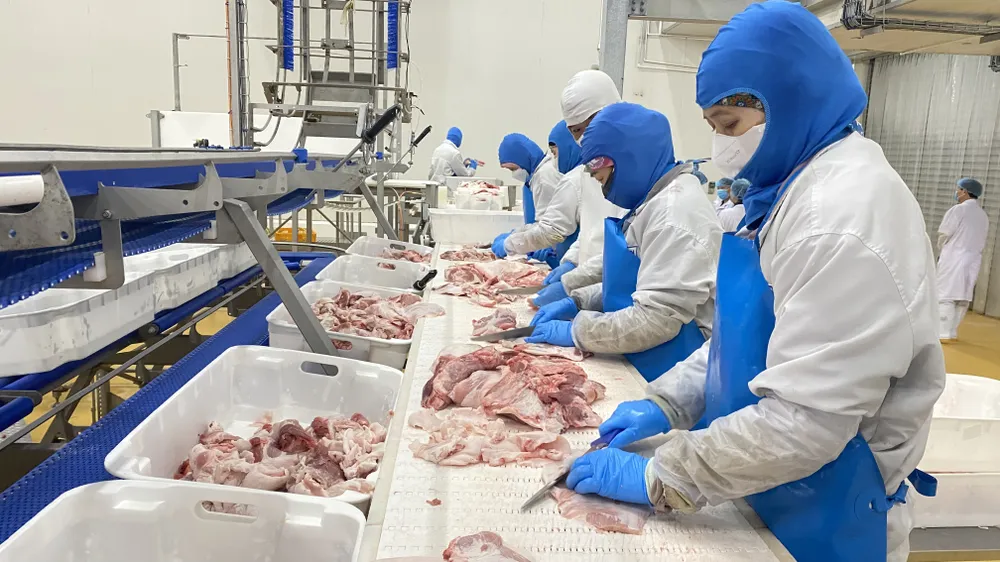 Tất cả nhân viên đều mặc áo bông để pha lóc thịt heo mát đã chil trước khi đóng gói vào các hộp “Oxy Fresh”. Ảnh: VĂN PHÚC