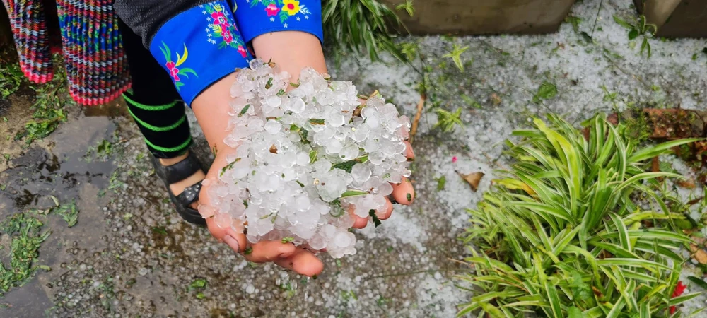 Mưa đá tiếp tục xuất hiện tại huyện Văn Chấn (Yên Bái) sáng 29-3. Ảnh do người dân cung cấp IMG_7770.jpeg