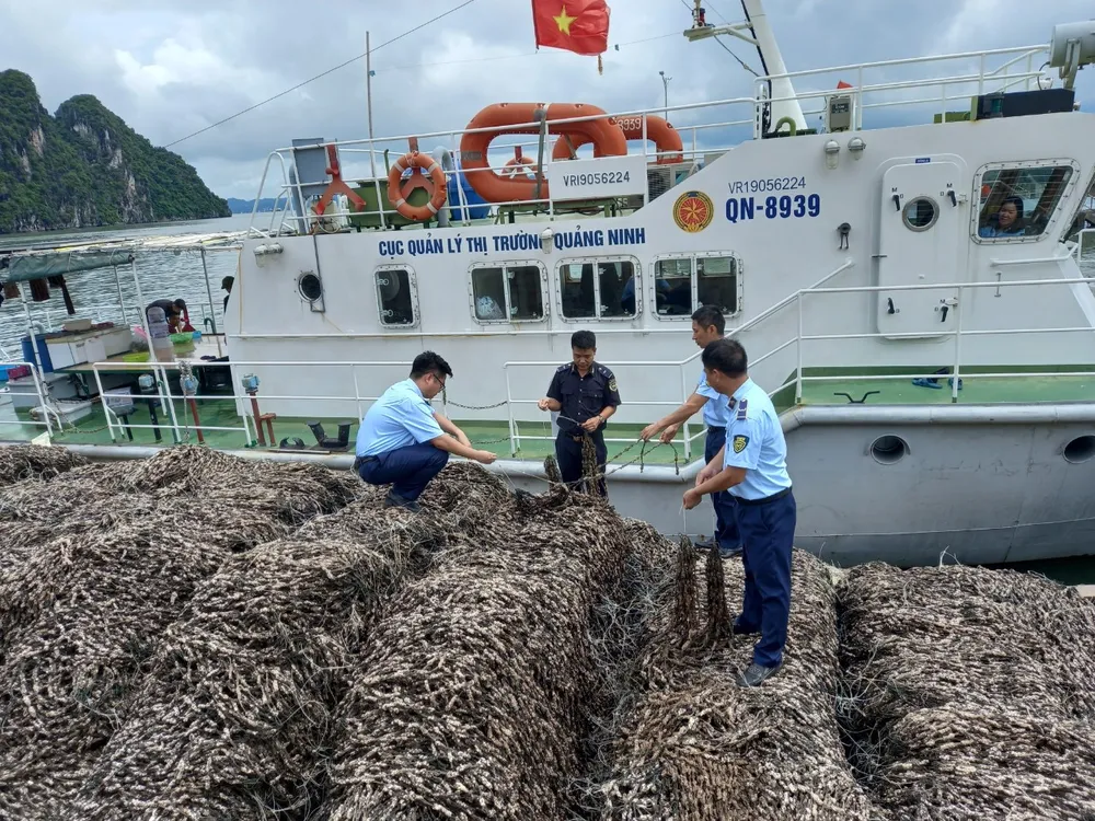 Lượng dây hàu rất lớn IMG_0207.jpeg