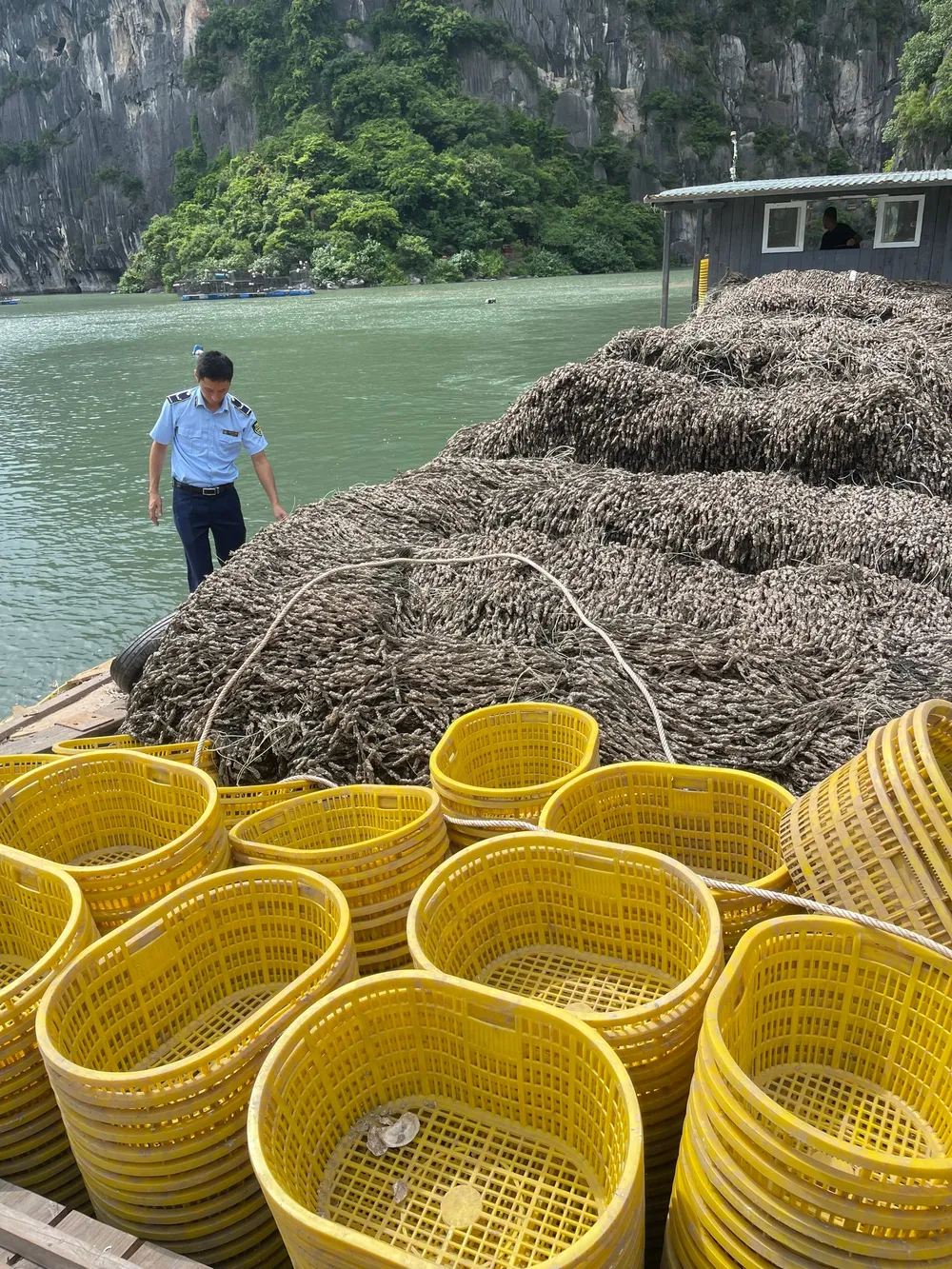 Số hàng được chở bởi một tàu thủy có gắn động cơ IMG_0212.png
