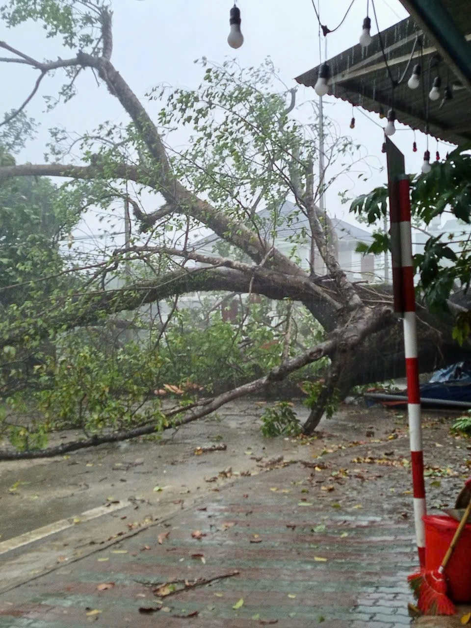 Mùa hè ở miền Bắc thường xảy ra các cơn dông, người dân cần lưu ý IMG_8682.jpeg