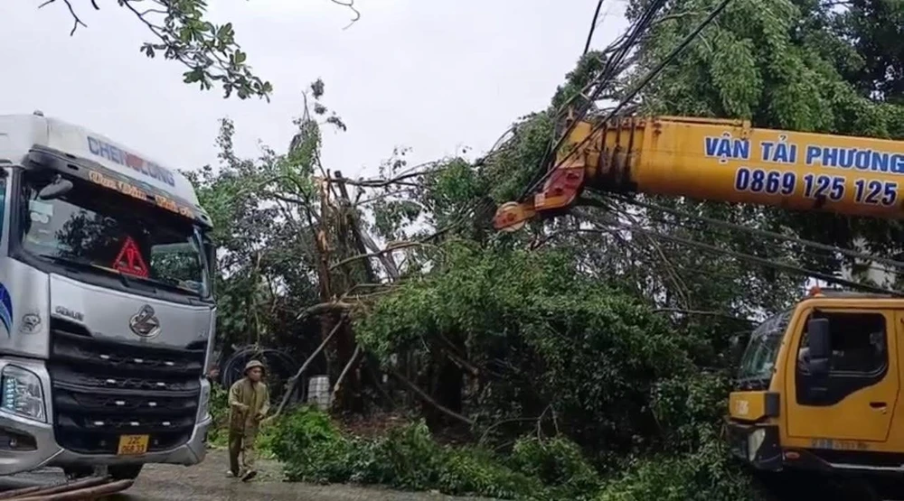 Đơn vị chức năng khẩn trương dọn dẹp cây bị đổ tại TP Tuyên Quang IMG_8857.jpeg