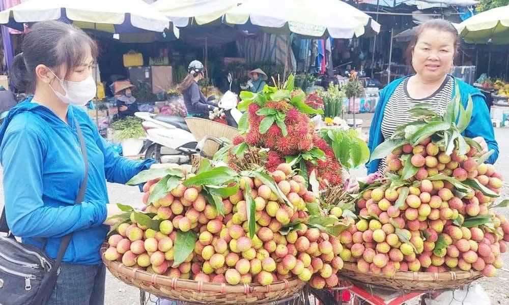 Những chùm vải chín sớm bán với giá 40.000-80.000 đồng/kg (tùy loại) ngày 27-5. Ảnh: BÁO BẮC GIANG IMG_9276.jpeg