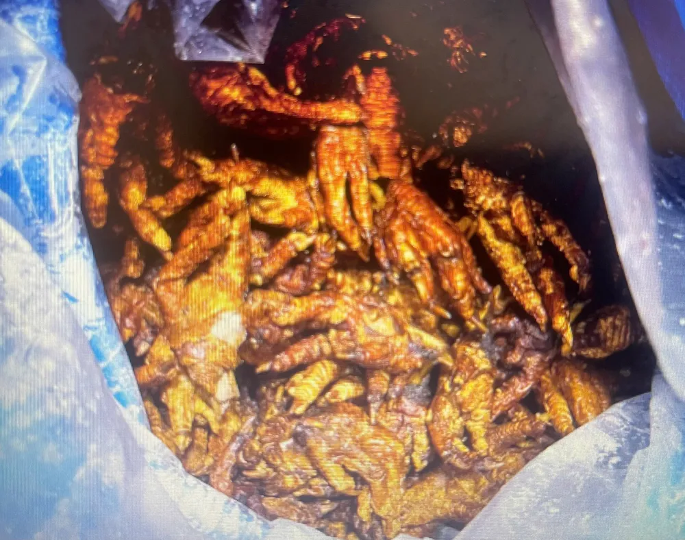 Chân gà đã qua chế biến, chuẩn bị đưa ra thị trường IMG_9286.jpeg