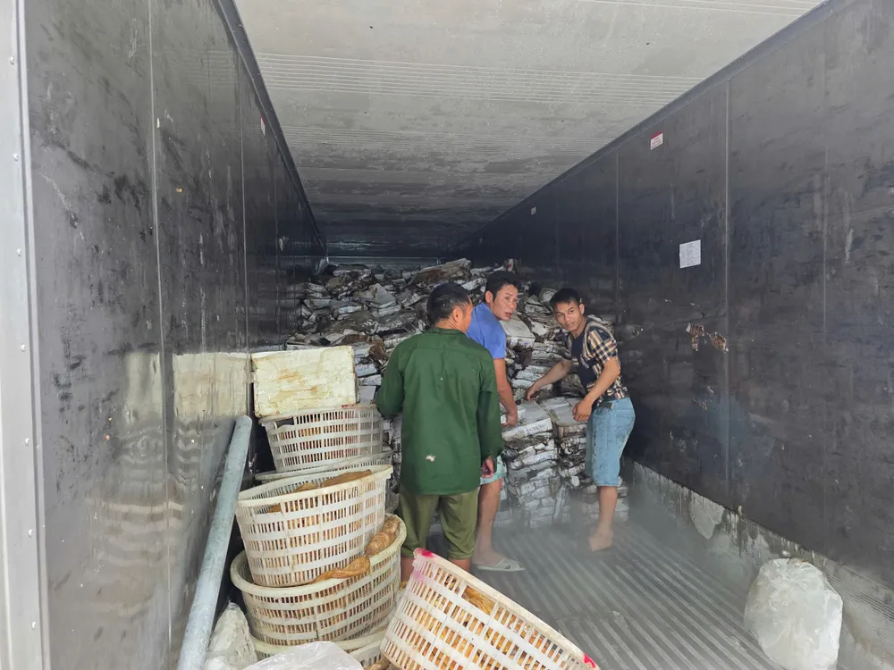 Lực lượng chức năng kiểm tra tình trạng thực phẩm trong kho đông lạnh. Ảnh: DMS IMG_9324.jpeg