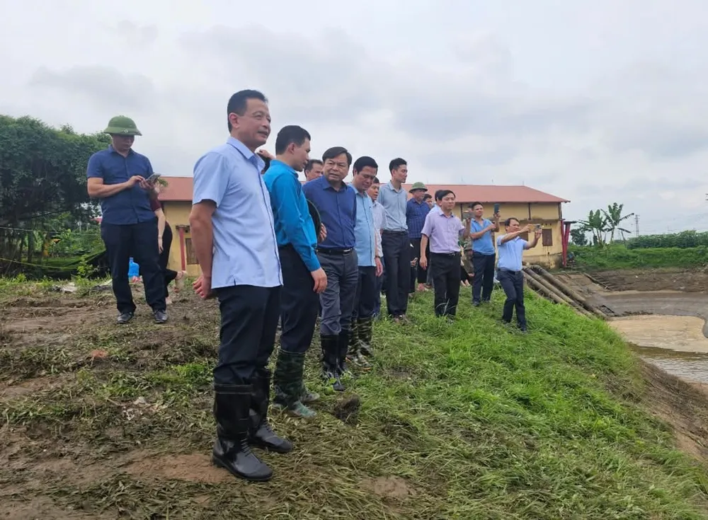 Thứ trưởng Nguyễn Hoàng Hiệp kiểm tra sự cố mạch sủi tại Trạm bơm Cẩm Bào (đê tả sông Cầu, tỉnh Bắc Ninh) ngày 2-7 IMG_0274.jpeg