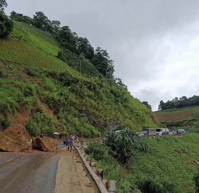 Heavy boulders rolled across the Co Noi - Na Ot road (Son La province) on the morning of July 25. IMG_0772.jpeg