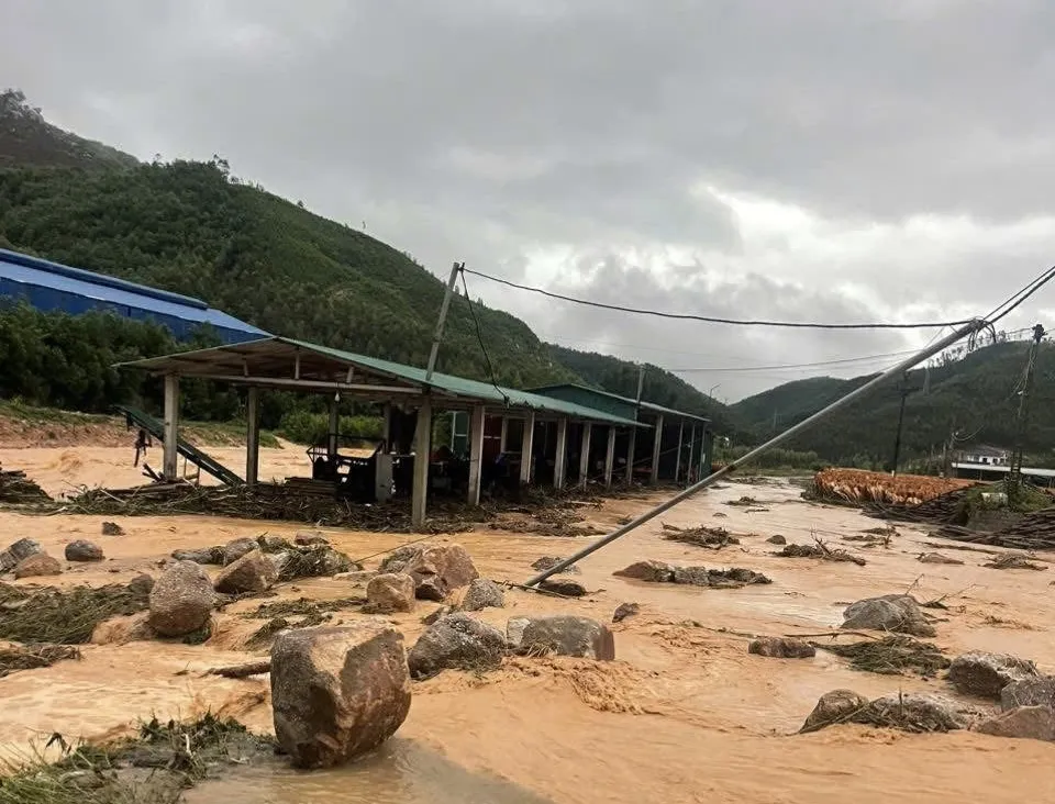 Mưa như trút, lũ xuất hiện ở xã Tuấn Đạo và nhiều xã ở phía Đông Bắc tỉnh Bắc Ninh sáng nay 21-8 IMG_1471.jpeg