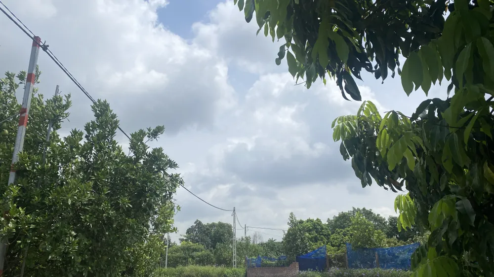 Hà Nội nắng ráo trở lại nhưng còn nhiều mây, báo hiệu vẫn còn mưa IMG_1551.jpeg