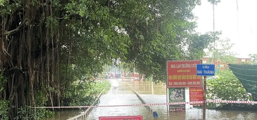 Cầu Đại Thành (xã Hưng Đạo, TP Hà Nội chìm ngập trong nước sông Đáy ngày 27-8 IMG_1961.jpeg