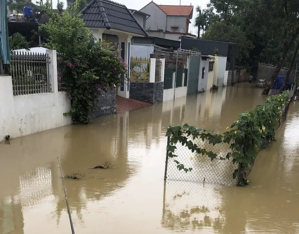 Một số khu dân cư trũng thấp bị ngập IMG_1968.jpeg