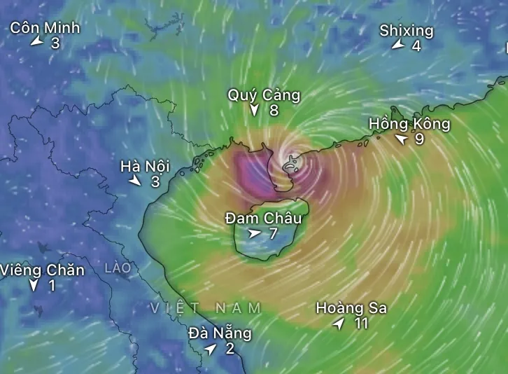 Mô hình của châu Âu dự báo vị trí tâm bão Ragasa đêm 24-9. Nguồn: Windy IMG_2439.jpeg