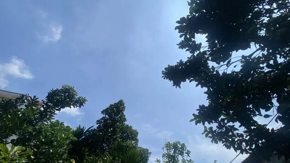Trưa 5-10 tại Hà Nội, trời nắng IMG_3152.jpeg