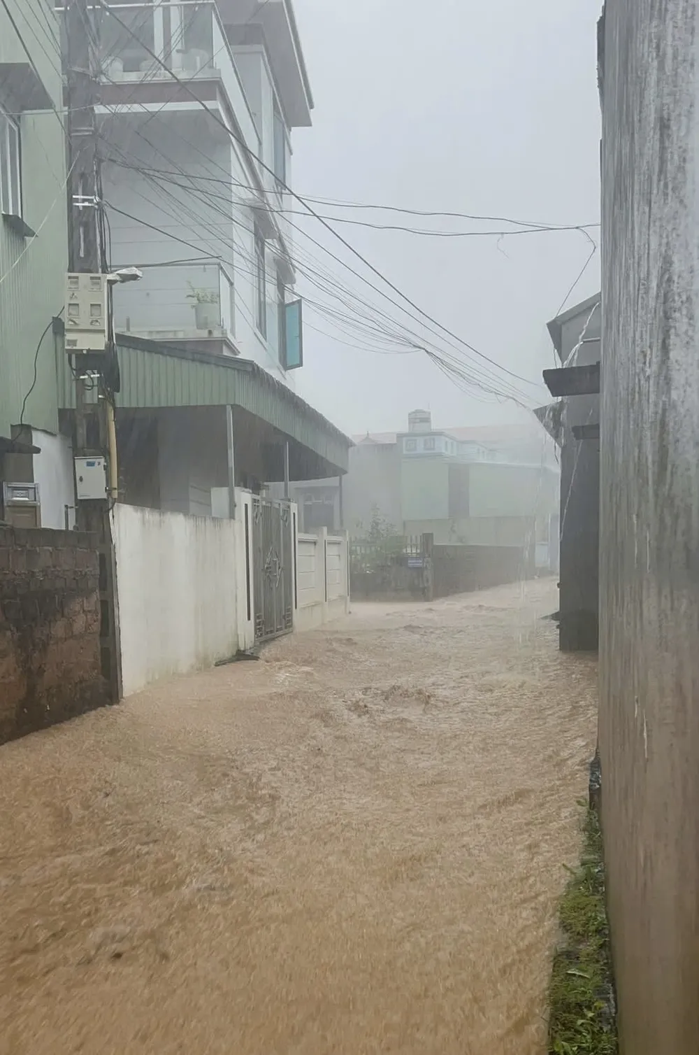 Nước mưa chảy trong các ngõ, ngách tại tỉnh Sơn La IMG_3194.jpeg