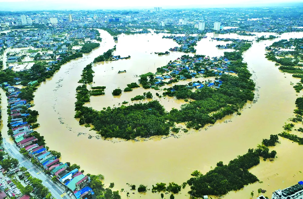 Nước sông Cầu tràn ngập phường Linh Sơn (tỉnh Thái Nguyên) sau bão số 11 IMG_3292.jpeg