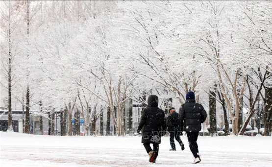 Yonhap: Tuyết phủ trắng trời Seoul, Hàn Quốc