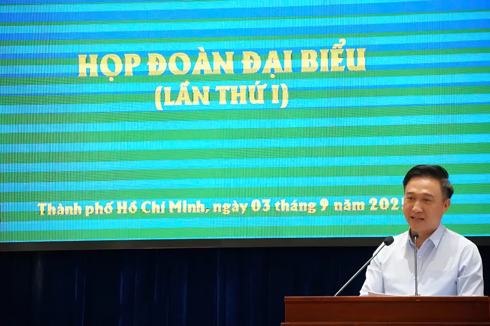 Phó Bí thư Thành ủy Đặng Minh Thông phát biểu tại buổi họp. Ảnh: VIỆT NGA z6973752797046_f2591b8e3661b41dc311ad93e7b1dba7.jpg