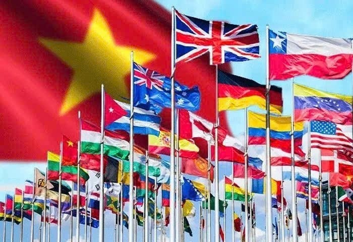 越南与主动积极融入精神。