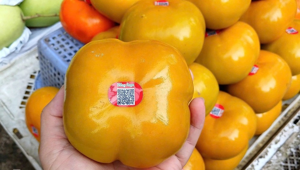 大勒产地的富士柿贴上完整的溯源标签，目前正在胡志明市商店出售。 