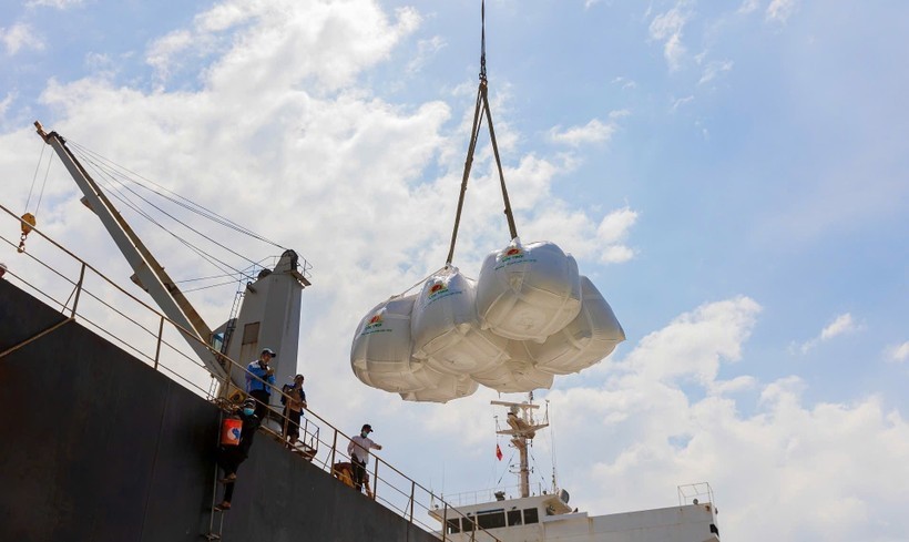 越南大米长期以来在国际市场上享有盛誉，目前已出口至逾150个国家和地区。图自越通社 