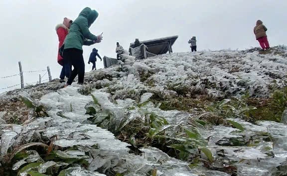 这场寒冷天气使高山地区最低气温可能降至5摄氏度以下。