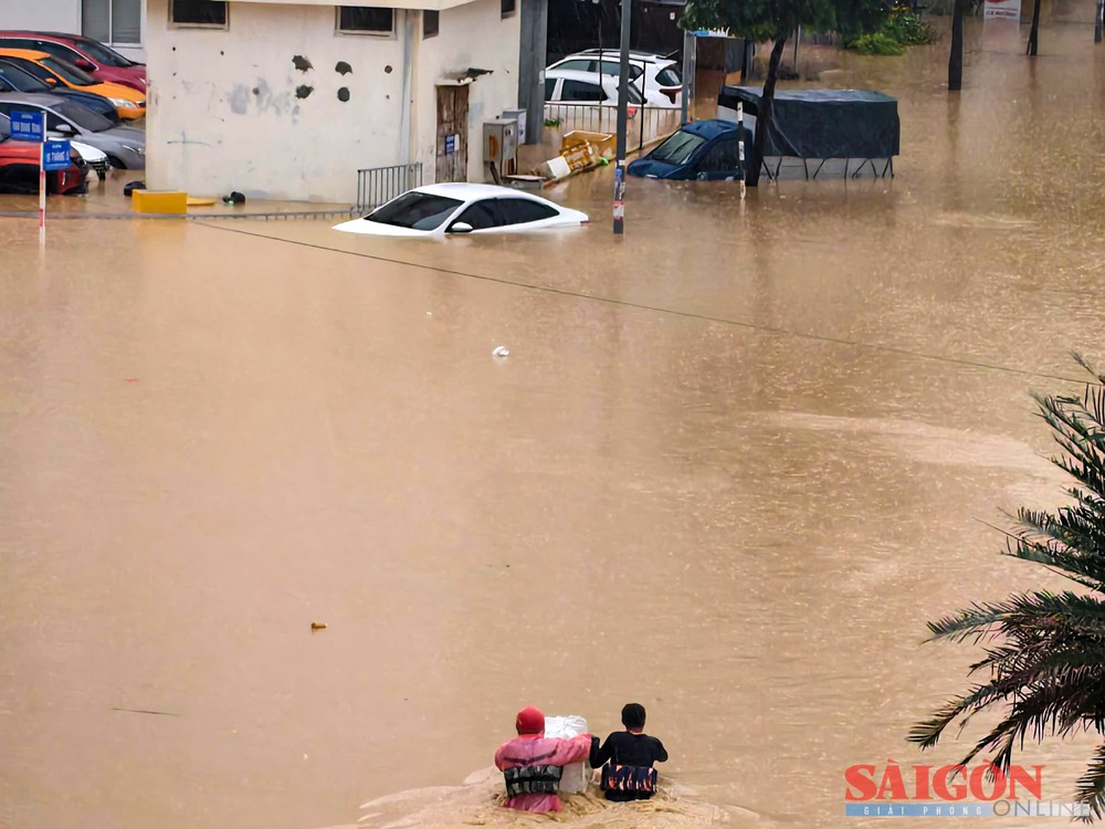 2  dasua-6-9408-7877.jpg