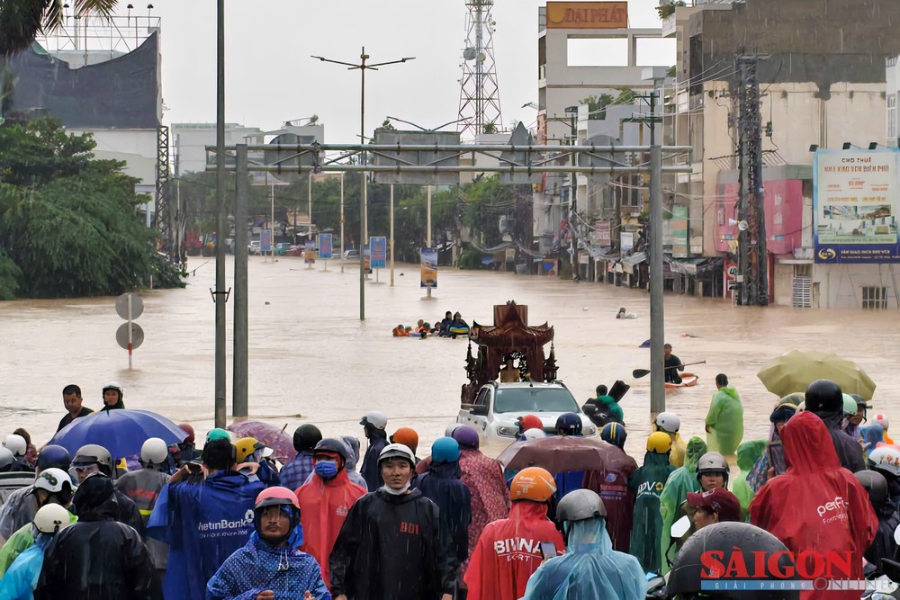 3  dasua-1-7271-806.jpg