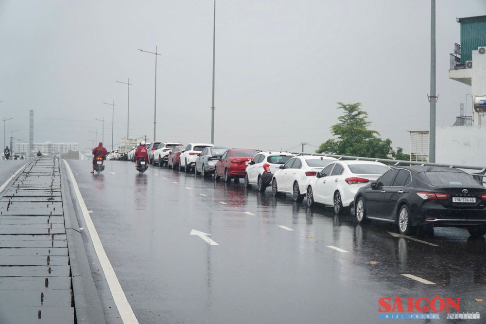 6  dasua-8-5784-9809.jpg