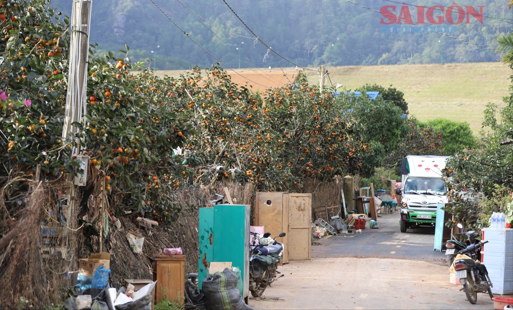 3  img-1654-109-7735.jpg