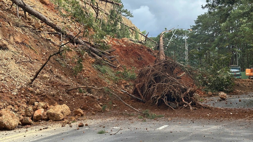 2  z7291635832429-6fbefe11d4358956cf2d5162bf258003-4806-551.jpg