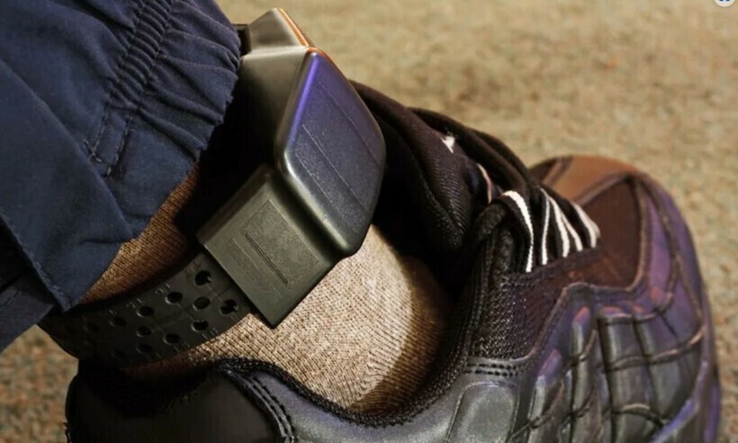 附图。图自越南律师报 