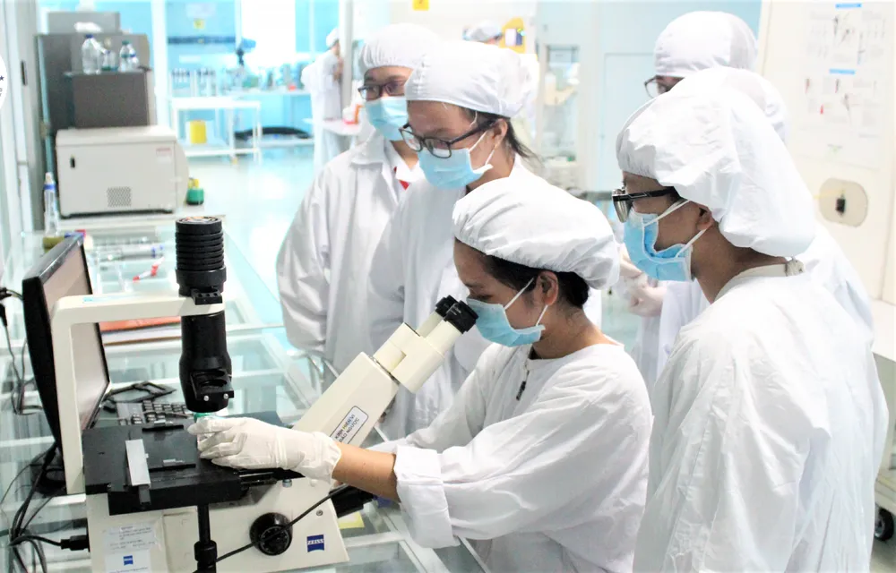 Các nhà khoa học đang làm việc tại Trung tâm Tế bào gốc, Trường ĐH Khoa học Tự nhiên (ĐHQG TPHCM). Ảnh: THANH HÙNG TBG1.png