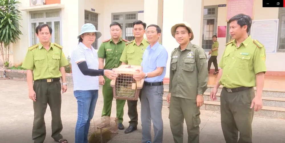 Bàn giao 2 con rái cá cho Trung tâm Cứu hộ bảo tồn và phát triển sinh vật chăm sóc, nuôi dưỡng.