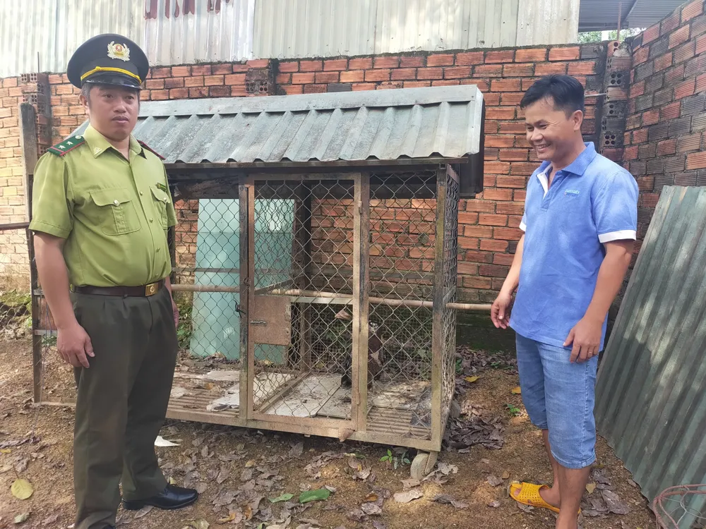 Anh Ngô Quốc Đạt bàn giao chim diều hoa Miến Điện cho cán bộ Hạt Kiểm lâm huyện Đồng Phú