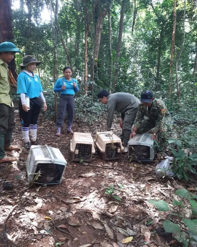 Các tình nguyện viên thuộc Nhóm gia đình em yêu thiên nhiên cùng đồng hành tái thả động vật hoang dã về rừng tự nhiên thuộc lâm phần Vườn quốc gia Bù Gia Mập