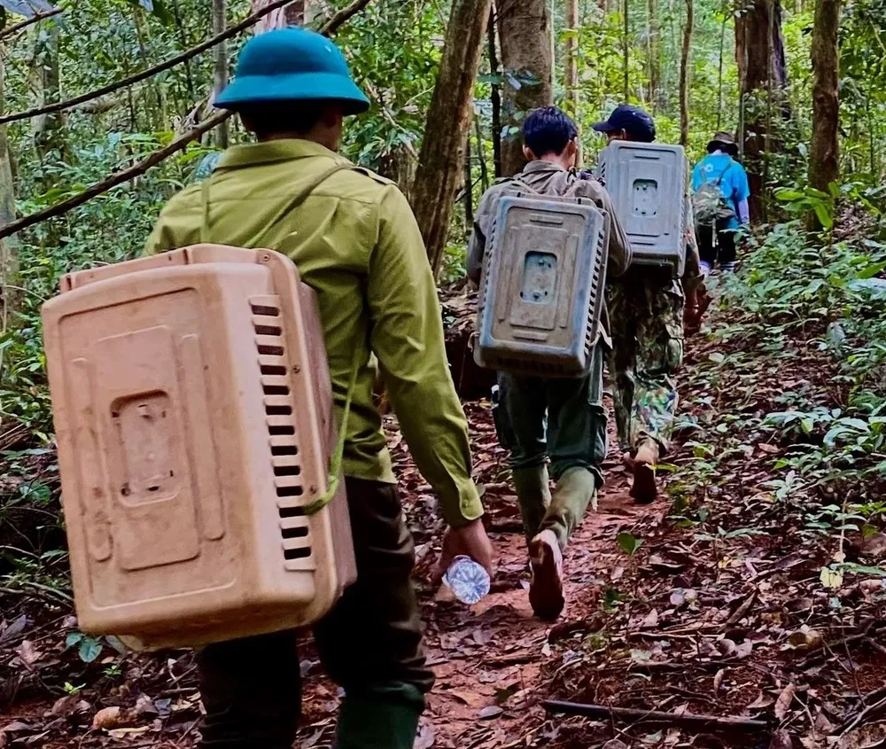 Các tình nguyện viên thuộc Nhóm gia đình em yêu thiên nhiên cùng tham gia đồng hành tái thả động vật hoang dã về rừng tự nhiên thuộc lâm phần Vườn quốc gia Bù Gia Mập