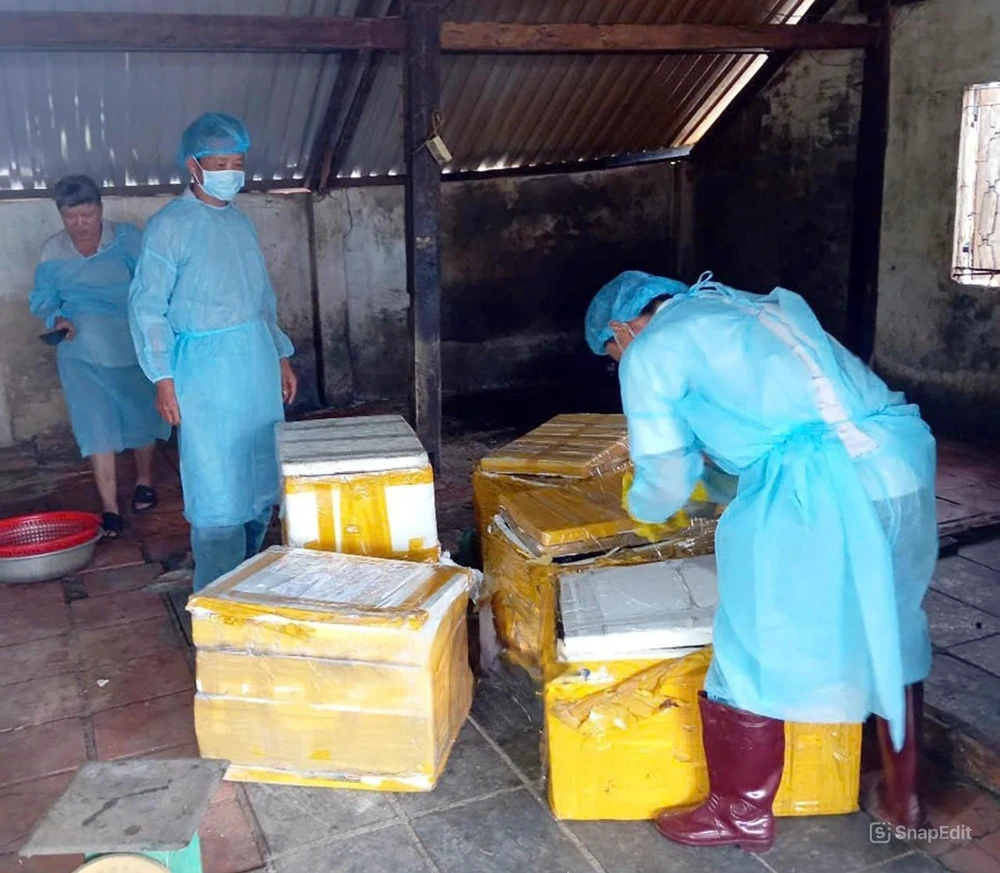 Đoàn liên ngành kiểm tra và niêm phong số thịt heo bị ôi thiu và dương tính với virus dịch tả lợn châu Phi trước khi đem đi tiêu hủy 1.jpg