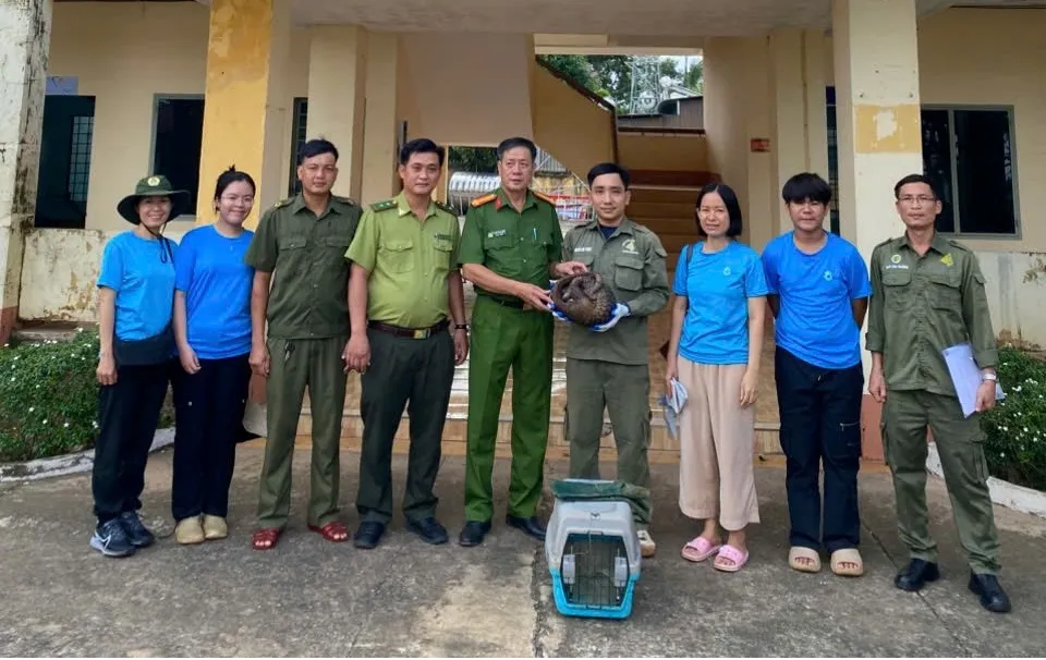 Công an xã Lộc Hưng phối hợp với Hạt Kiểm lâm khu vực 10 bàn giao con Tê tê Java quý hiếm cho Vườn Quốc gia Bù Gia Mập. Ảnh: Công an xã Lộc Hưng - 2.jpg