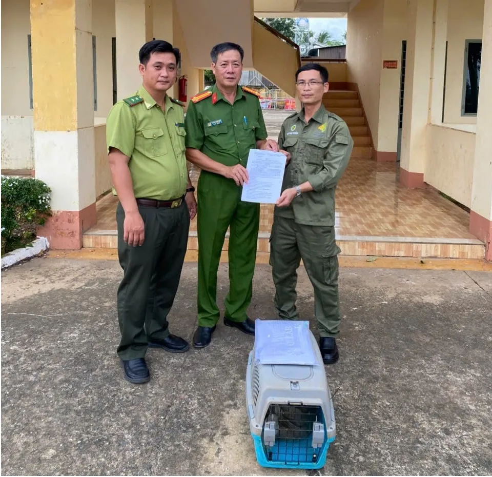 Đại diện các cơ quan bàn giao con Tê tê Java quý hiếm - 3.jpg