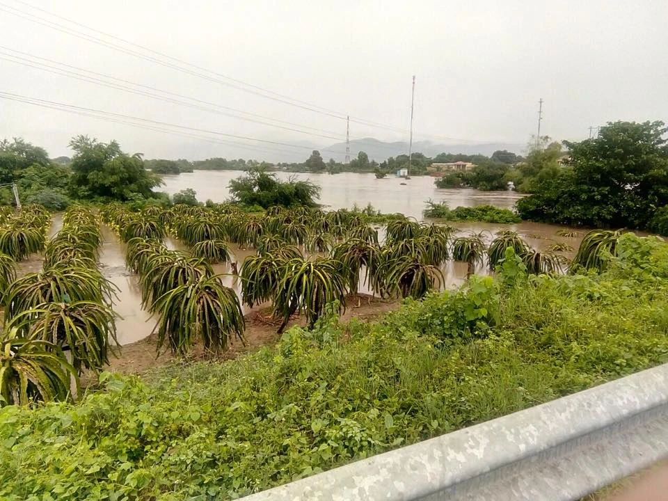 Bình Thuận: Mưa lũ gây ngập trên 100 căn nhà ảnh 3 Bình Thuận: Mưa lũ gây ngập trên 100 căn nhà ảnh 3