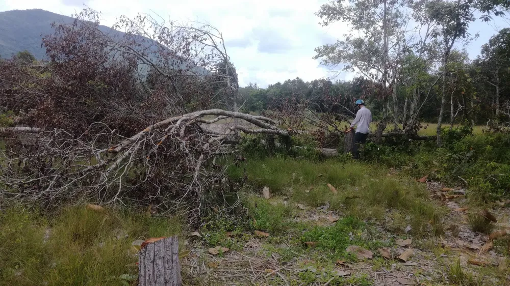 Đề nghị khởi tố vụ án phá rừng trong khu bảo tồn thiên nhiên Tà Cú ảnh 4