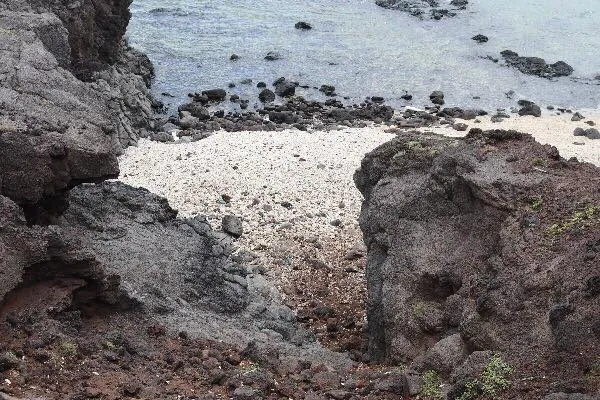 Xem ảnh bãi biển Phú Quý trước và sau khi dọn sạch rác ảnh 2