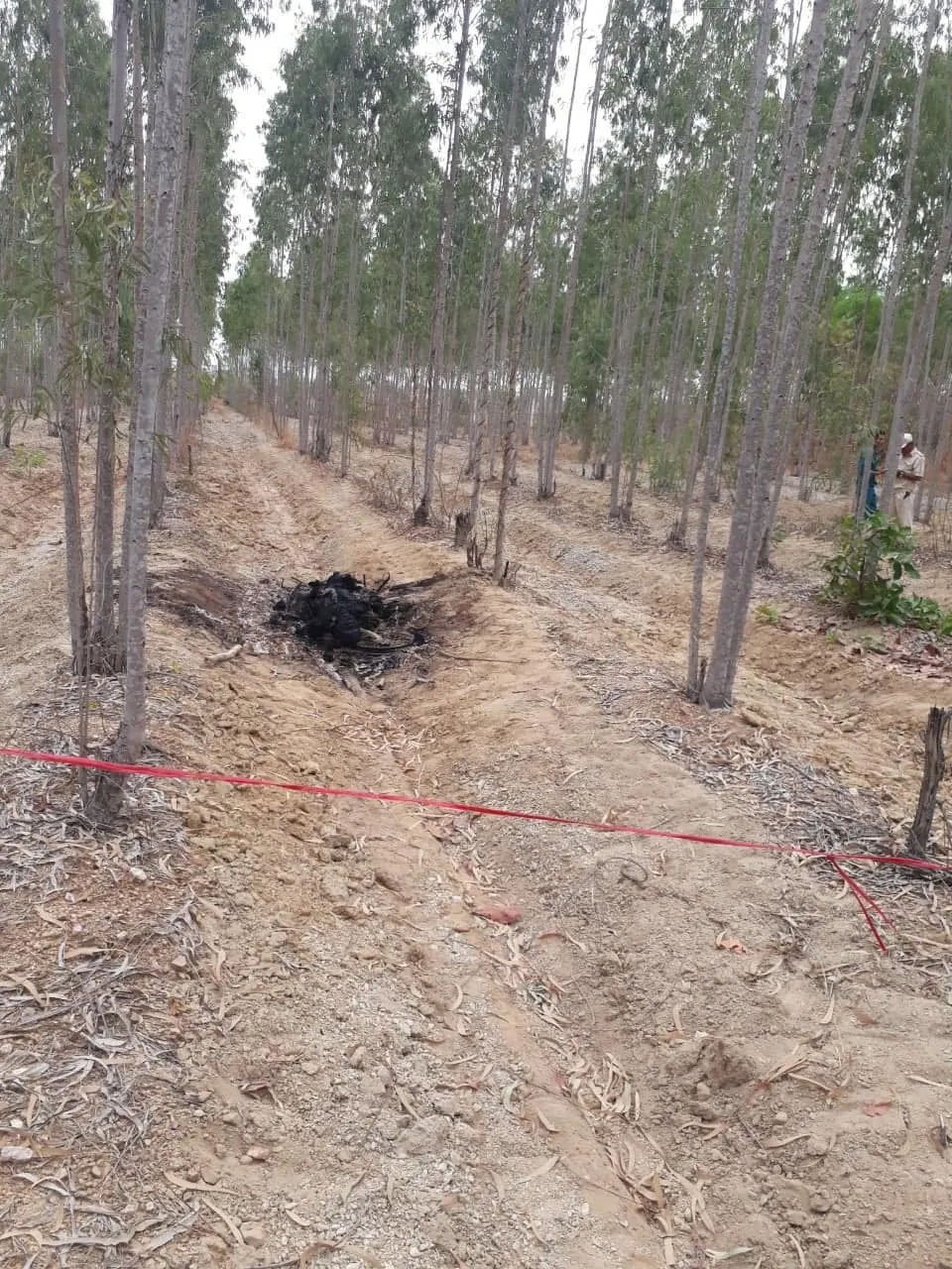 Phát hiện thi thể cháy đen nghi là nghi phạm trong vụ giết bé trai 10 tuổi ở Đồng Nai ảnh 2