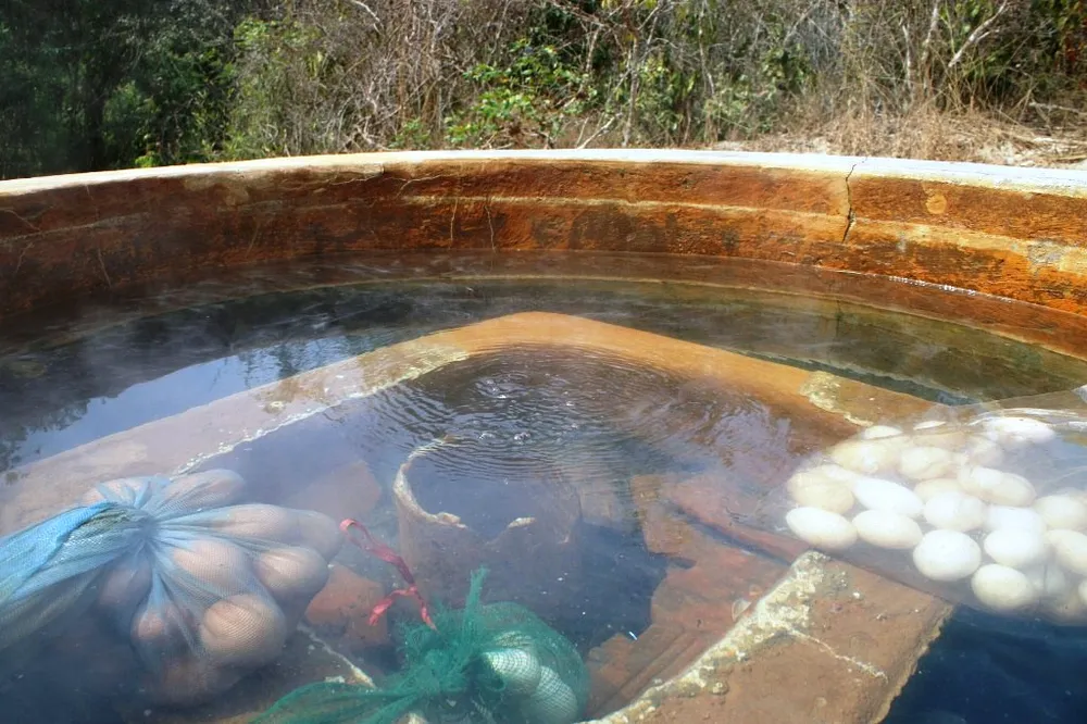 Khám phá suối nước nóng 87°C ở Bình Thuận ảnh 2