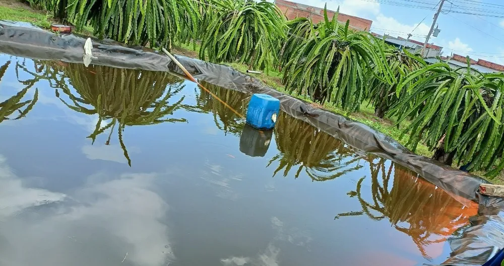 Cha mẹ mải làm vườn, 2 con nhỏ chết đuối thương tâm ảnh 1