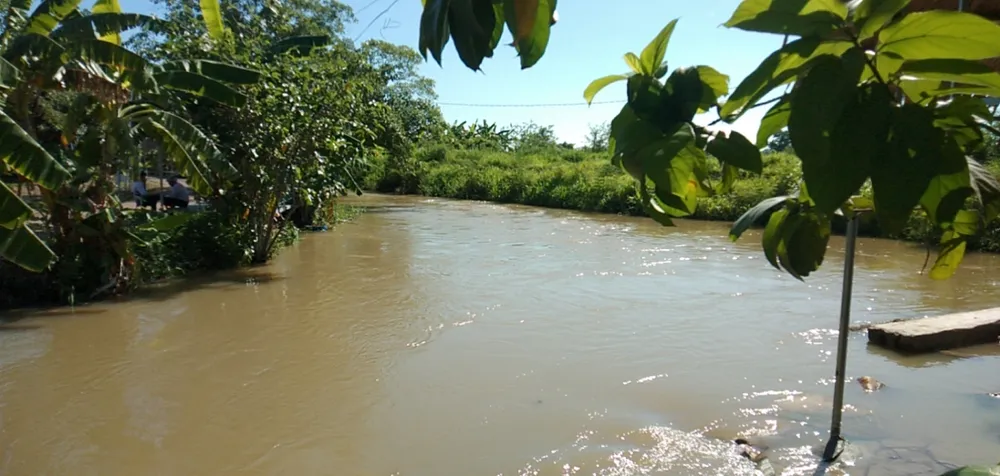 Lòng sông Cái đã cơ bản thông thoáng Lòng sông Cái đã cơ bản thông thoáng