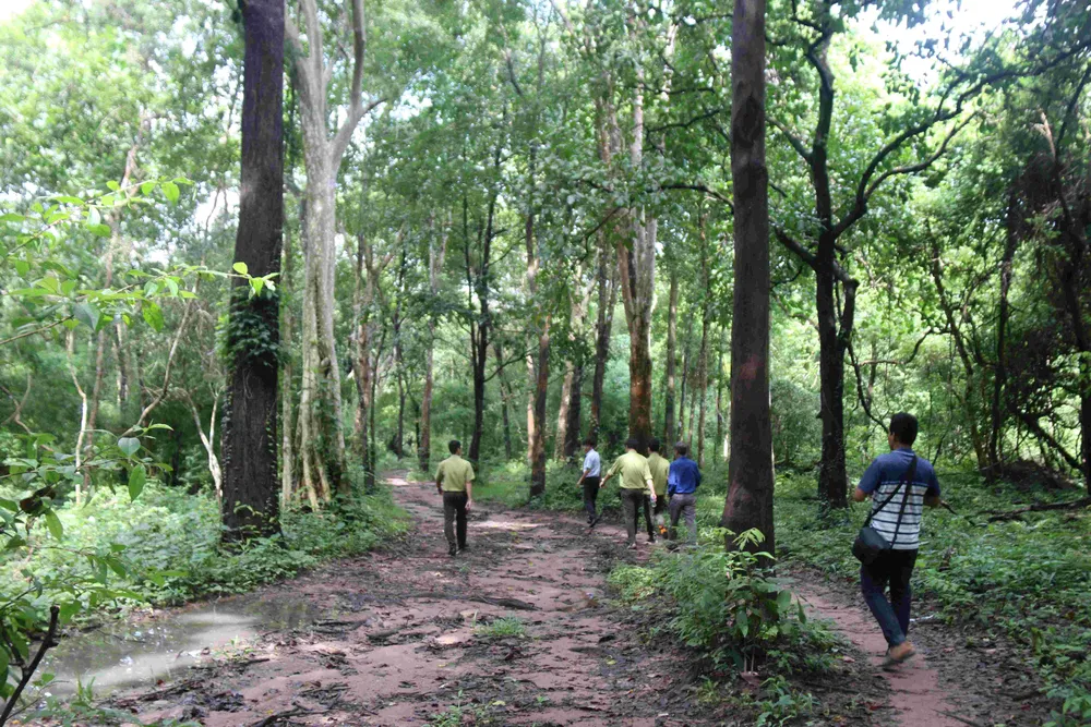 Tổng diện tích đất dự án là 697,73ha, trong đó diện tích đất lâm nghiệp là 679,72ha. Ảnh: NGUYỄN TIẾN Tổng diện tích đất dự án là 697,73ha, trong đó diện tích đất lâm nghiệp là 679,72ha. Ảnh: NGUYỄN TIẾN