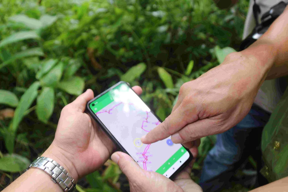 Xác định vị trí cây căm xe lan truyền trên mạng nằm ngoài vùng dự án. Ảnh: NGUYỄN TIẾN Xác định vị trí cây căm xe lan truyền trên mạng nằm ngoài vùng dự án. Ảnh: NGUYỄN TIẾN