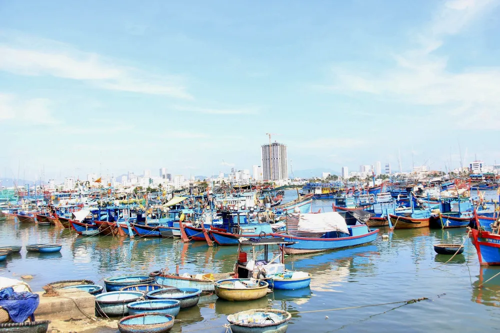 Khánh Hòa tăng cường quản lý, kiểm tra, xử lý các hành vi vi phạm IUU kh-4952.jpg